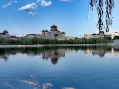 -莲花池公园