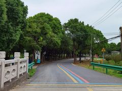 -莲花岛景区