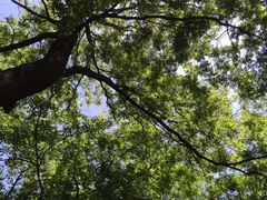 -北京上方山国家森林公园