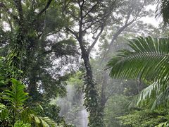 -青青世界