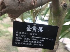 -南通洲际绿博园