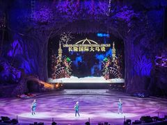 -广州长隆国际大马戏