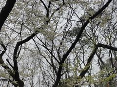 -黔灵山公园