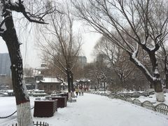 -文瀛公园