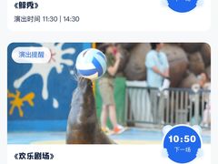 -海合安成都极地海洋公园