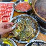 瓦小灶老火锅｜一家海鲜吃到嘴里还在弹的炭火火锅店