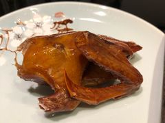 金牌第一鸽-泰山廊亦舫(丽景店)