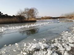 -大兴滨河森林公园