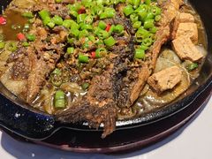-老板恋上鱼(高新万达店)
