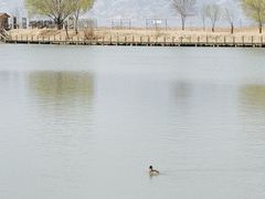 -野鸭湖国家湿地公园