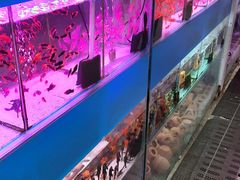 -三旗百汇商品城