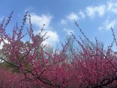 -潮府馆·非遗潮州菜·港式点心(世纪公园店)