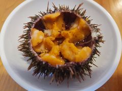 -海胆小馆(东北水饺·春柳店)