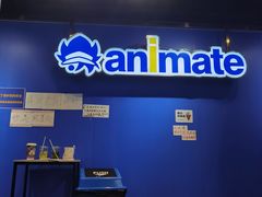 -Animate(工人体育场东路店)