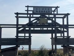 -哈素海