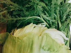 蔬菜拼盘-阳坊胜利涮羊肉(阳坊老店)
