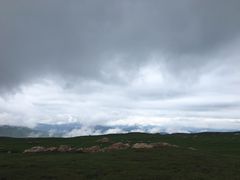 -空中草原