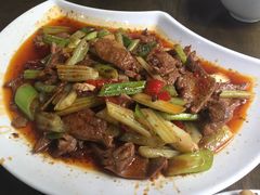 -天一沾水肥肠(科园一街店)