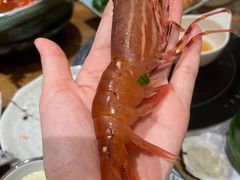 -蟹将军·松叶蟹和牛日料放题自助(K11店)