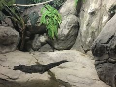 -苏州海洋馆