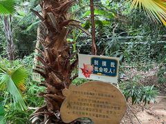 -呀路古热带植物园-恐龙馆
