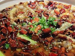 -雲蜀龙阁·金牌水煮鱼(方庄店)