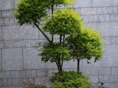-临江·阅炉
