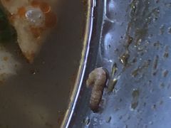 -桂湘缘卤味螺蛳粉