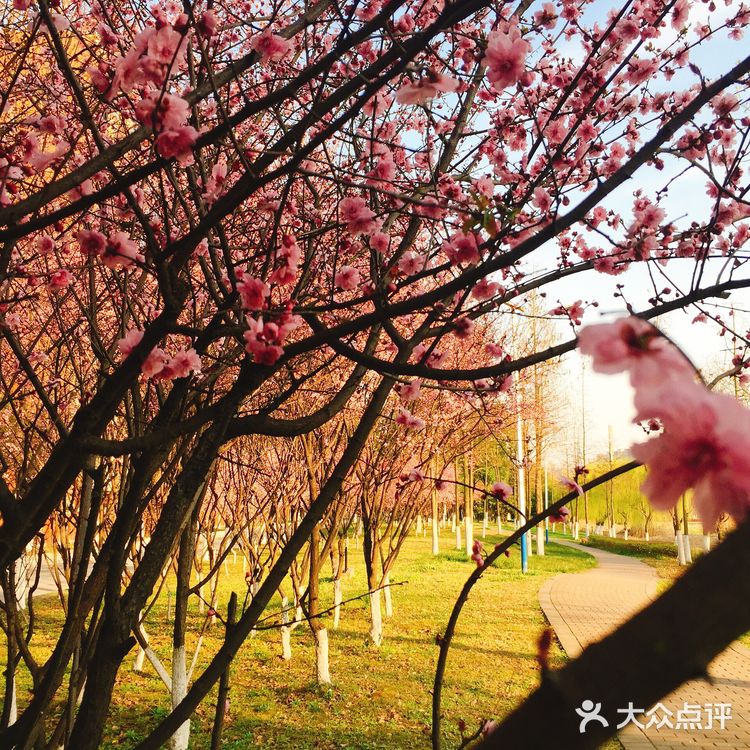 选一种姿态，让自己活得无可替代