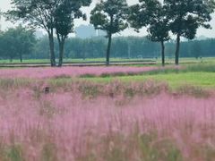 -汉长安城未央宫国家考古遗址公园