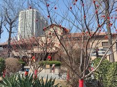 -静园(和平区)