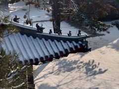 -北陵公园