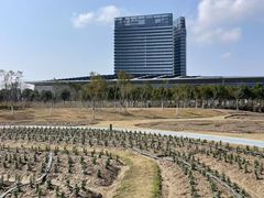 -春花秋色城市公园