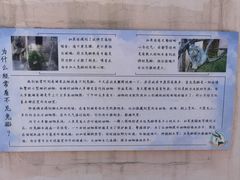 -青藏高原野生动物园