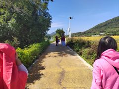 -风云岭森林公园