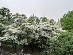 -国家植物园南园