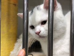 -1013 PET SHOP 宠物商店(近铁城市广场店)