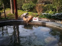 -扬州瘦西湖温泉