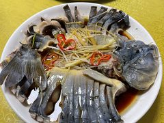 -煲来饱去冷水鱼