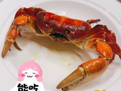 -膳富贵黄油蟹体验馆(欢乐港湾店)
