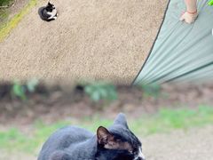 -上海滨江森林公园