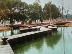 -梁鸿国家湿地公园