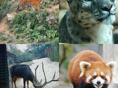 -青藏高原野生动物园