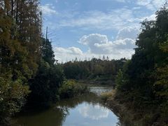 -上海长兴岛郊野公园