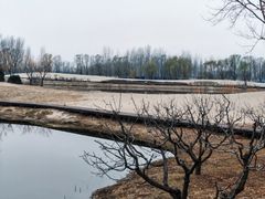 -东郊湿地公园