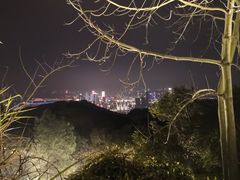-大金鹰园