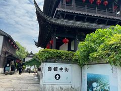 -鲁镇