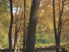 -徐家汇源景区-衡山公园