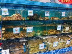 水产区-范饭椰林川湘味海鲜·椰子鸡(三亚湾椰梦长廊店)