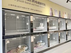 -翊宠yipet猫狗购宠庄园犬舍•猫舍